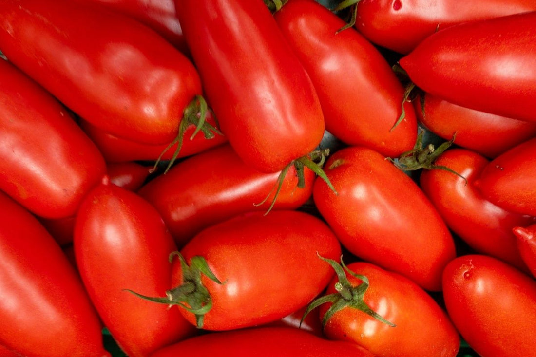 Best Tomatoes for Pizza: Choosing the Right Tomatoes for Authentic Italian Pizza