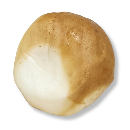 Olio&Olive Smoked Scamorza Cheese – 8oz